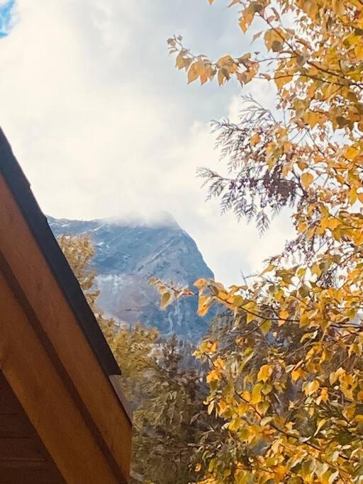 Ski-In Chalet: Private Hot Tub, Bonus Bunk House Fernie Ngoại thất bức ảnh